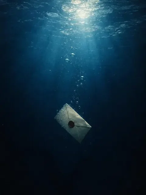 电影实时票房星空首映《逆流的鱼》封面,剧情、生态题材